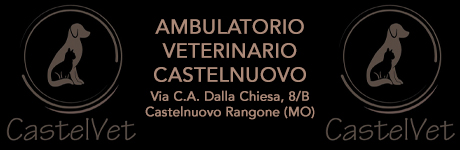Ambulatorio Veterinario CastelVet