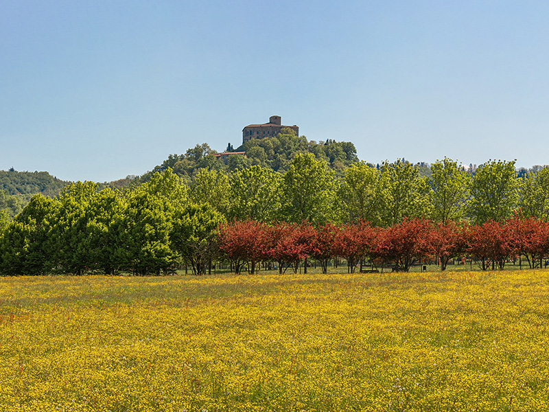 Albinea
